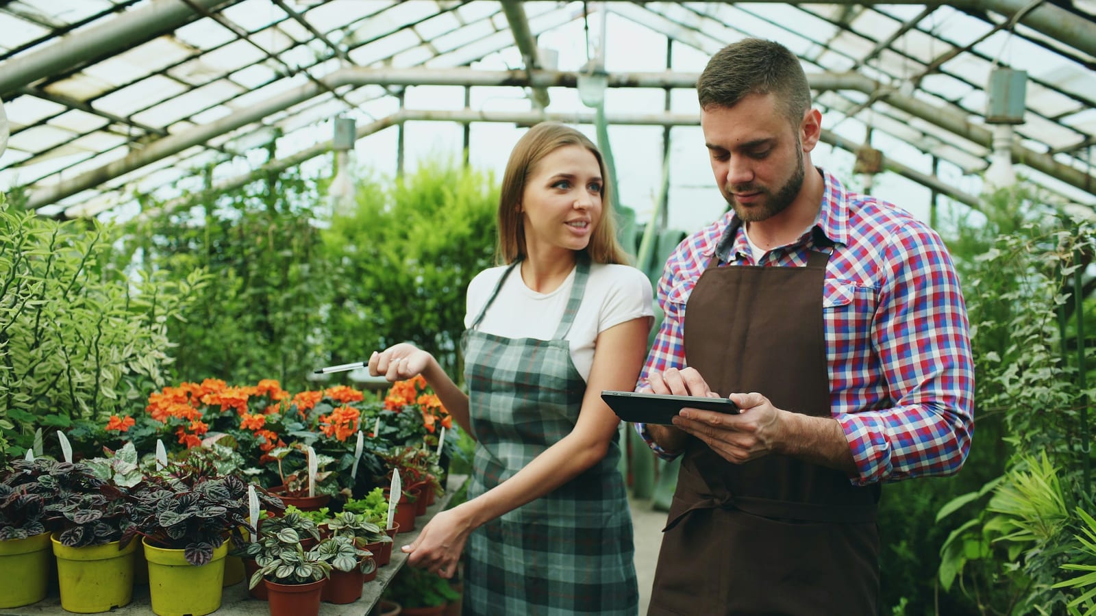 Store owners checking orders on a tablet